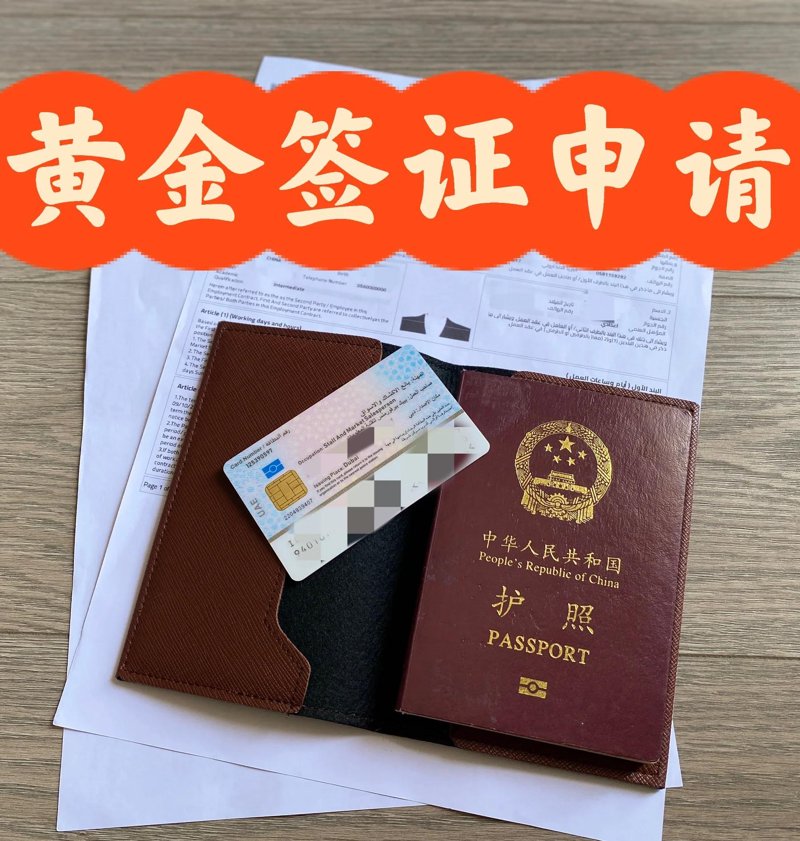 欧洲移民：踏上新生活的旅程