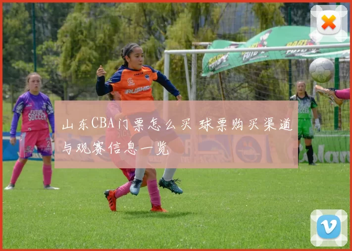 山东CBA门票怎么买 球票购买渠道与观赛信息一览